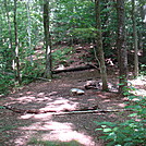 0510 2013.07.13 Campsite At Southern Pump Gap Trail Crossing by Attila in Trail & Blazes in North Carolina & Tennessee