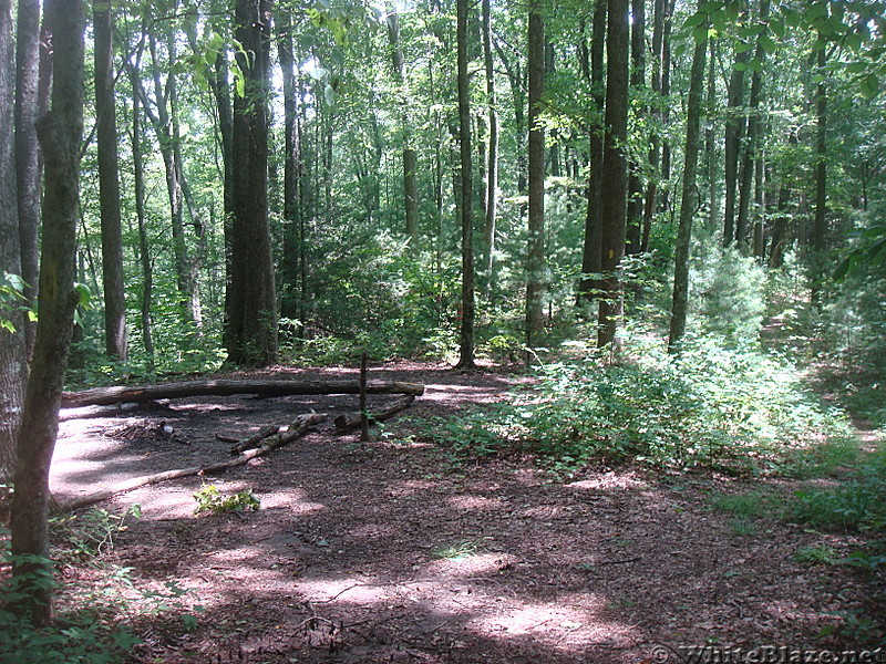 0511 2013.07.13 Campsite At Northern Pump Gap Trail Crossing