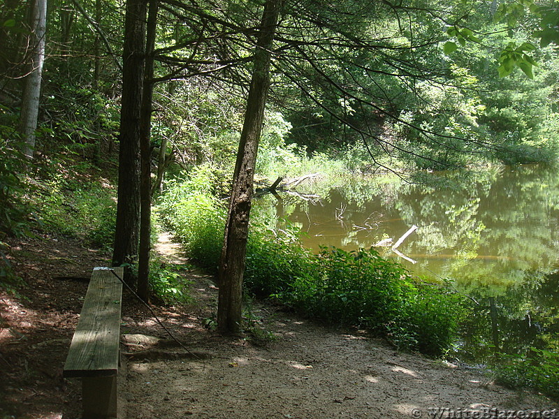 0512 2013.07.13 Pond On Mill Ridge