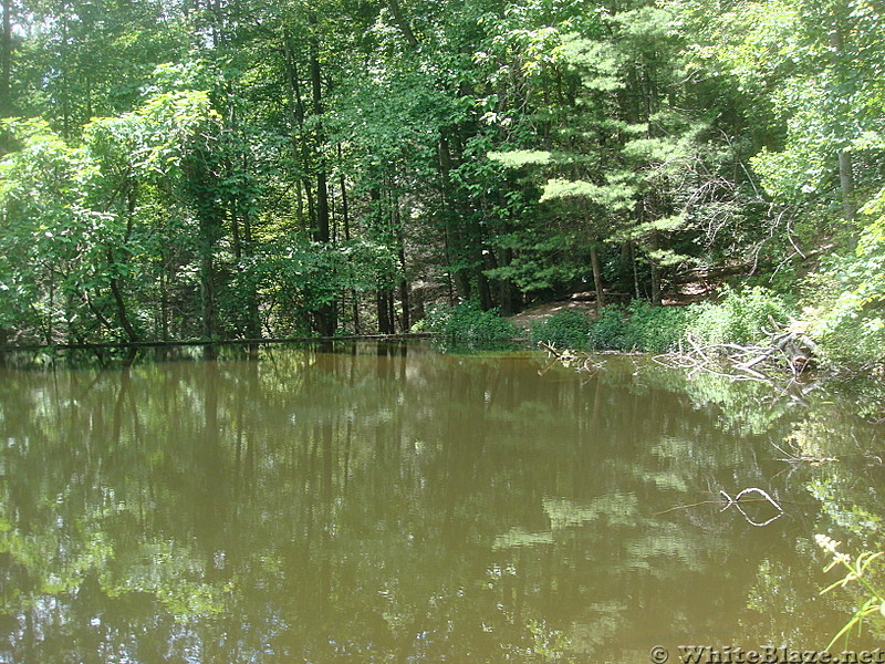 0513  2013.07.13 Pond On Mill Ridge