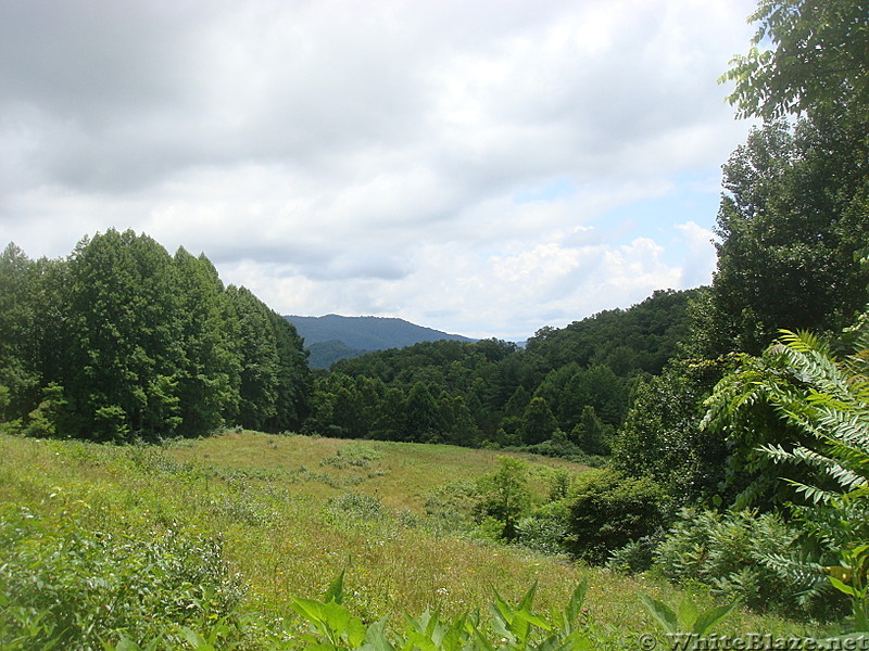 0514  2013.07.13 Grassy field at Mill Ridge