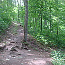 0516  2013.07.13 Sidetrail to Rich Mountain Fire Tower by Attila in Views in North Carolina & Tennessee