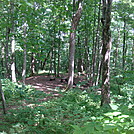 0518  2013.07.13 Campsite South of Hurricane Gap by Attila in Views in North Carolina & Tennessee