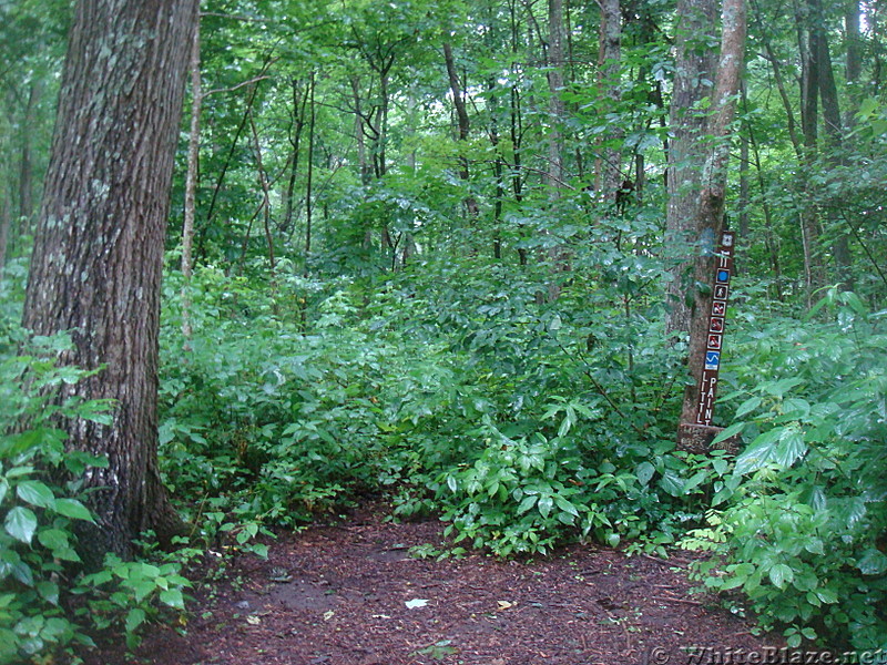 0528 2013.07.14 Little Paint Creek Trail