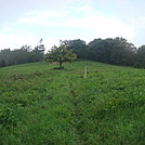 0546 2013.09.01 Cleared Field North Of Jerry Cabin Shelter by Attila in Trail & Blazes in North Carolina & Tennessee