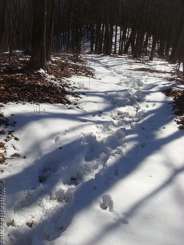 0556 2013.11.29 AT Covered with Snow