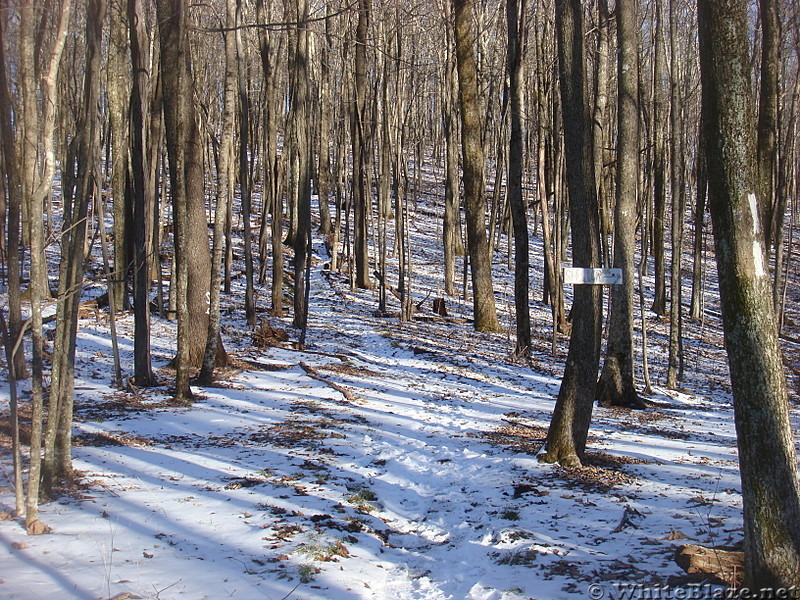 0557 2013.11.29 Side Trail To Hogback Ridge Shelter