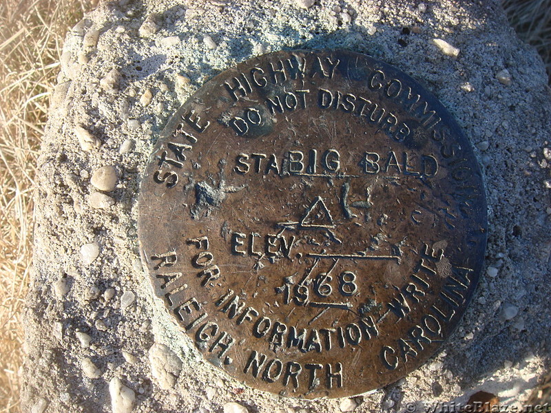 0576 2013.11.30 Big Bald Survey Marker