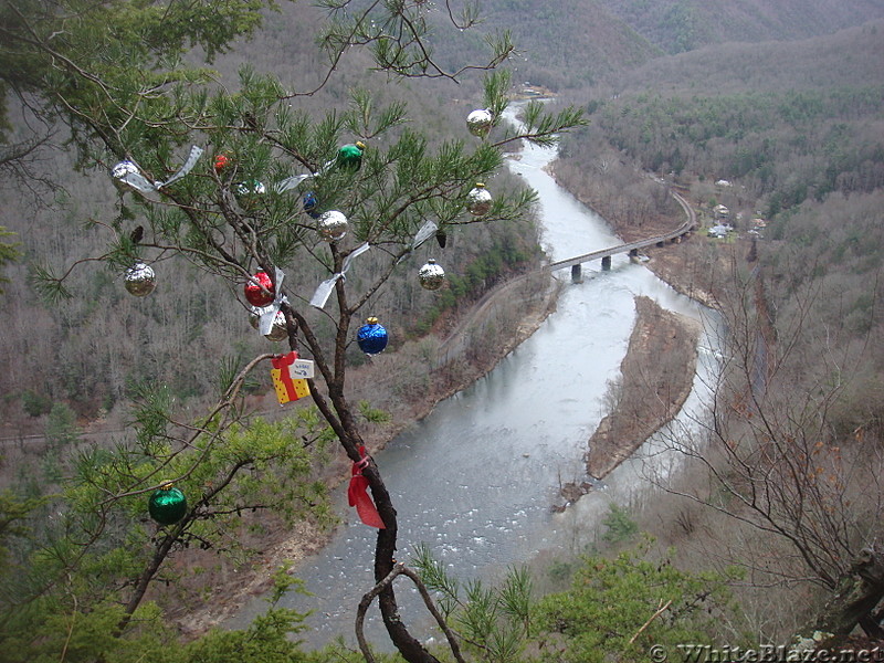 0594 2013.12.29 Christmastree On Ridgeline South Of Erwin TN