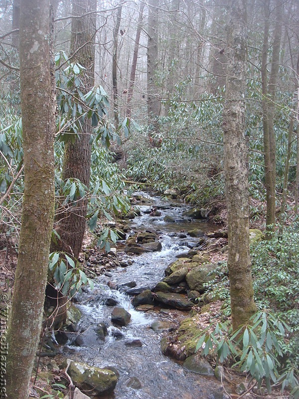 0604 2014.02.08 Jonas Branch North Of Erwin TN