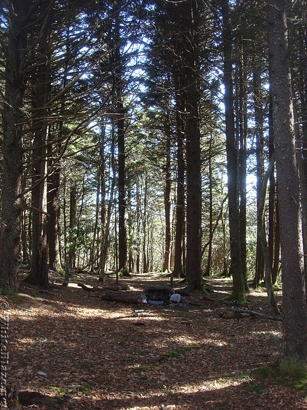 0618 2014.03.08 Campsite South Of Unaka Mountain