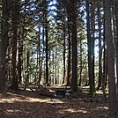 0618 2014.03.08 Campsite South Of Unaka Mountain by Attila in Views in North Carolina & Tennessee
