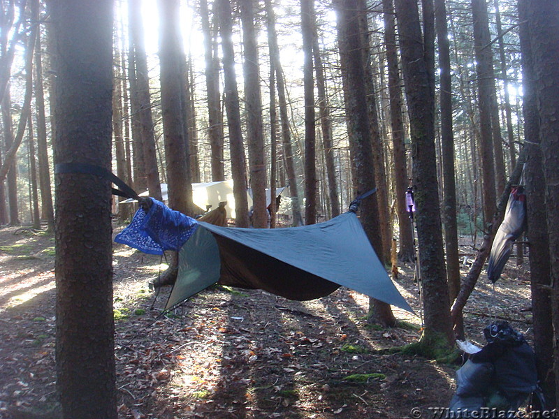 0620 2014.03.08 Campsite North Of Unaka Mountain