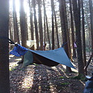 0620 2014.03.08 Campsite North Of Unaka Mountain