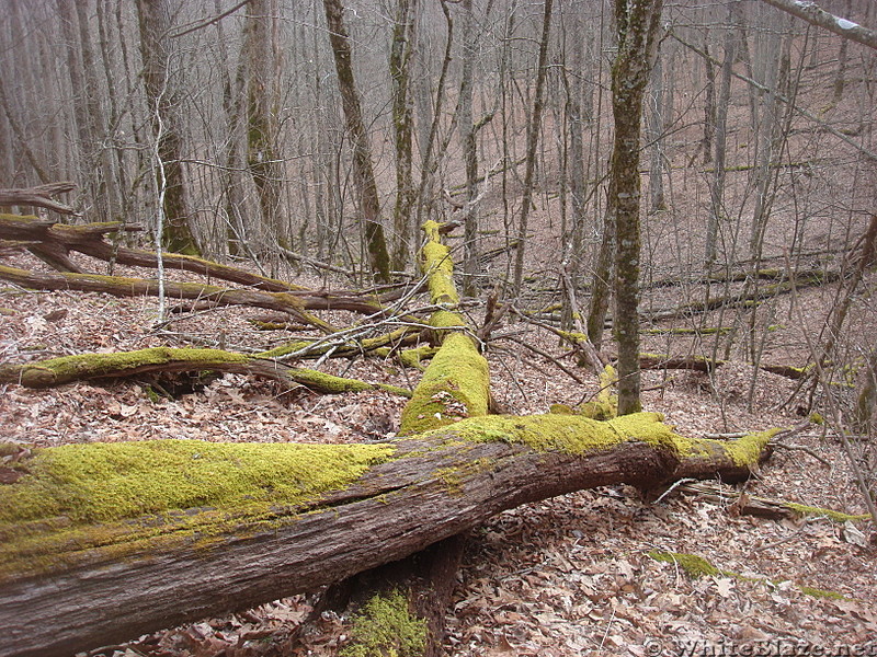 0623 2014.03.09 View South Of Cherry Gap Shelter