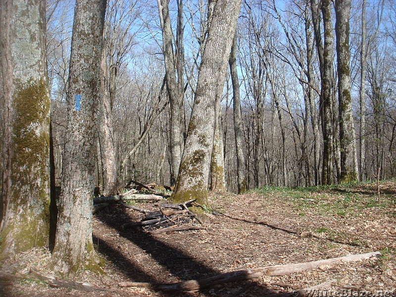 0635 2014.04.26 Campsite North Of Clyde Smith Shelter