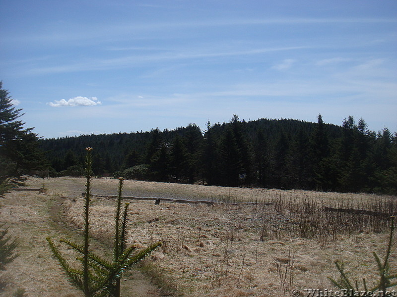 0642 2014.04.26 Roan Mountain Gravel Road Parking Lot