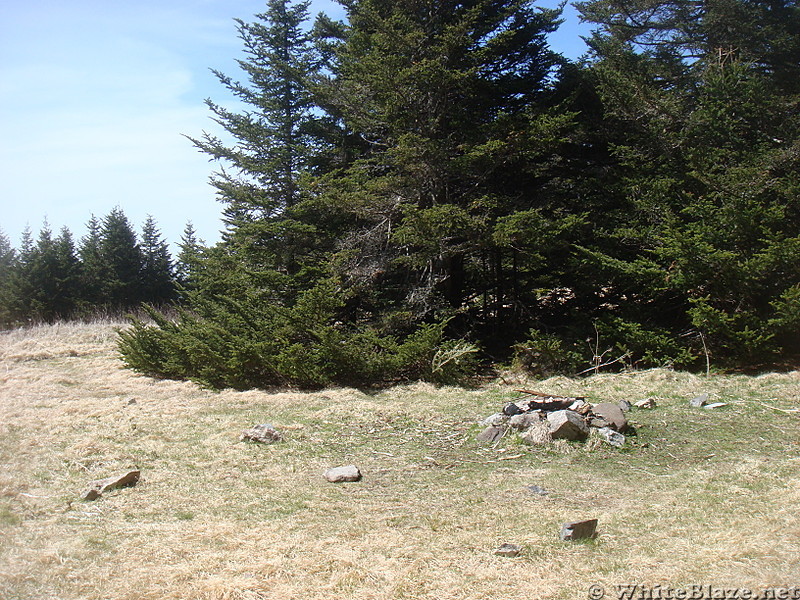 0643 2014.04.26 Roan Mountain