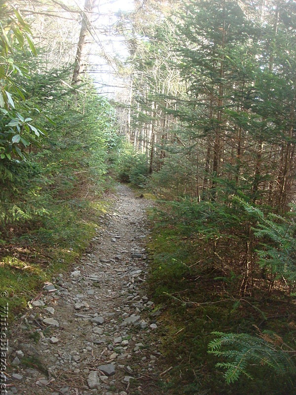 0647 2014.04.27 AT North Of Roan High Knob Shelter