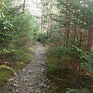 0647 2014.04.27 AT North Of Roan High Knob Shelter by Attila in Trail & Blazes in North Carolina & Tennessee