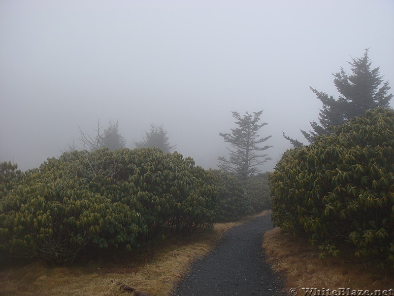 0655 2014.12.29 AT North Of Carvers Gap