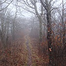 0673 2014.12.30 Campsite At Yellow Mountain Gap And Little Hump Mountain by Attila in Trail & Blazes in North Carolina & Tennessee