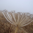 0676 2014.12.30 Hump Mountain Summit by Attila in Trail & Blazes in North Carolina & Tennessee