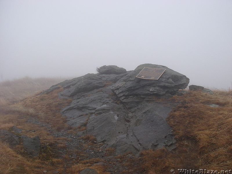 0678 2014.12.30 Stan Murray Memorial North Of Hump Mountain Summit