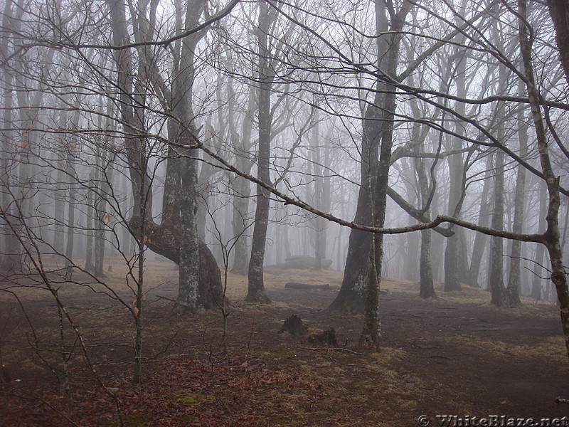 0682 2014.12.30 Campsite At Dolls Flat