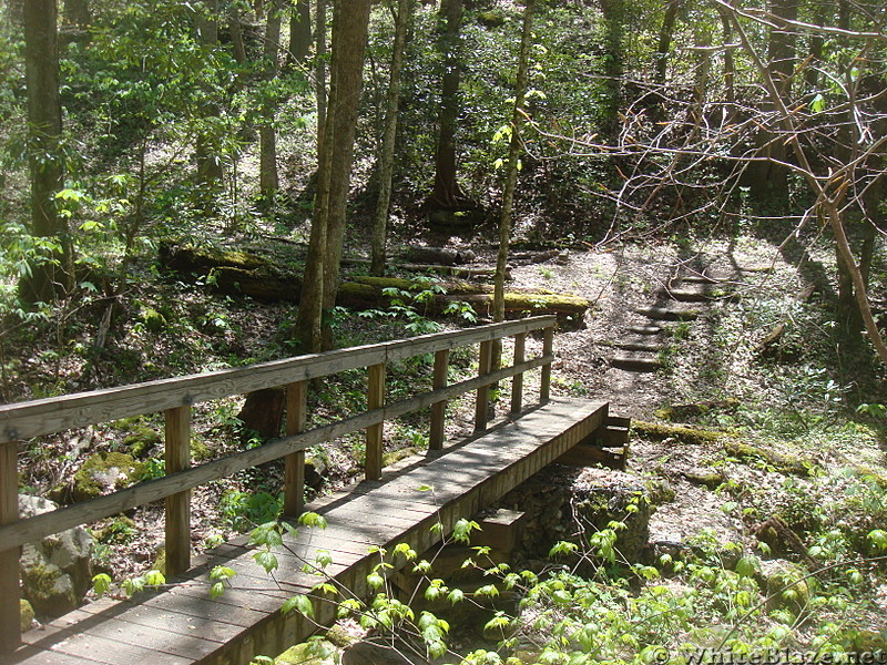 0688 2015.05.02 Bridge On Bear Branch 