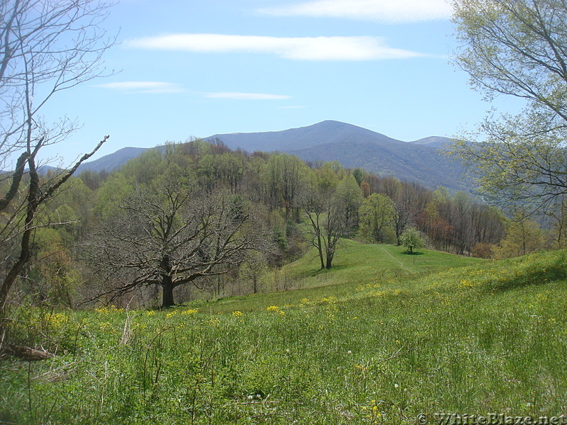 0692 2015.05.02 View From Bishop Hollow