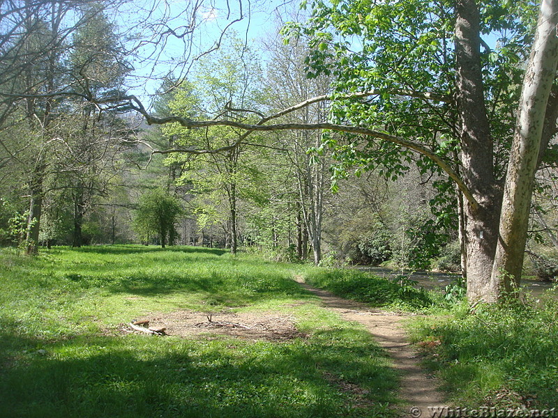 0695 2015.05.02 Campsite On AT Next To Elk River