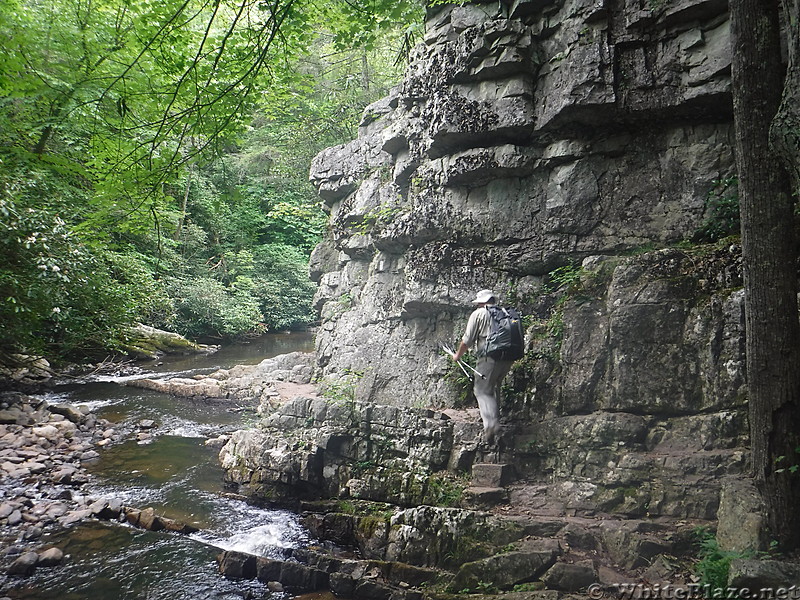 0722 2016.07.19 AT North Of Laurel Fork Falls