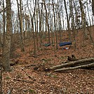 0736 2016.11.25 Campsite At Spring ~1.7 Miles South Of Vandeventer Shelter