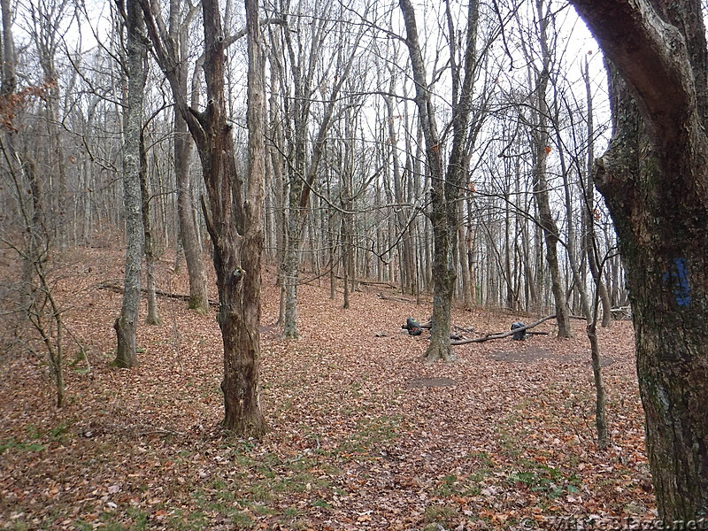 0740 2016.11.26 Campsite And Watersource ~1.4 Miles South Of Turkeypen Gap