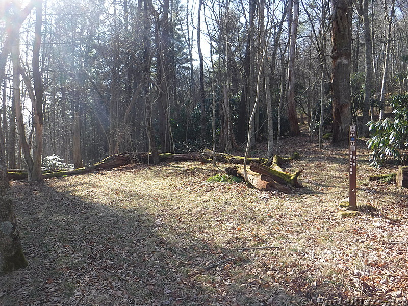 0752 2016.12.22 Holston Mountain Trail Crossing