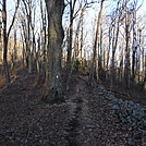 0753 2016.12.22 Old Rock Fence Along AT by Attila in Trail & Blazes in North Carolina & Tennessee