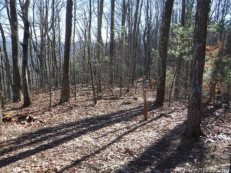 0759 2016.12.23 Backbone Rock Trail Junction North Of Abingdon Gap Shelter