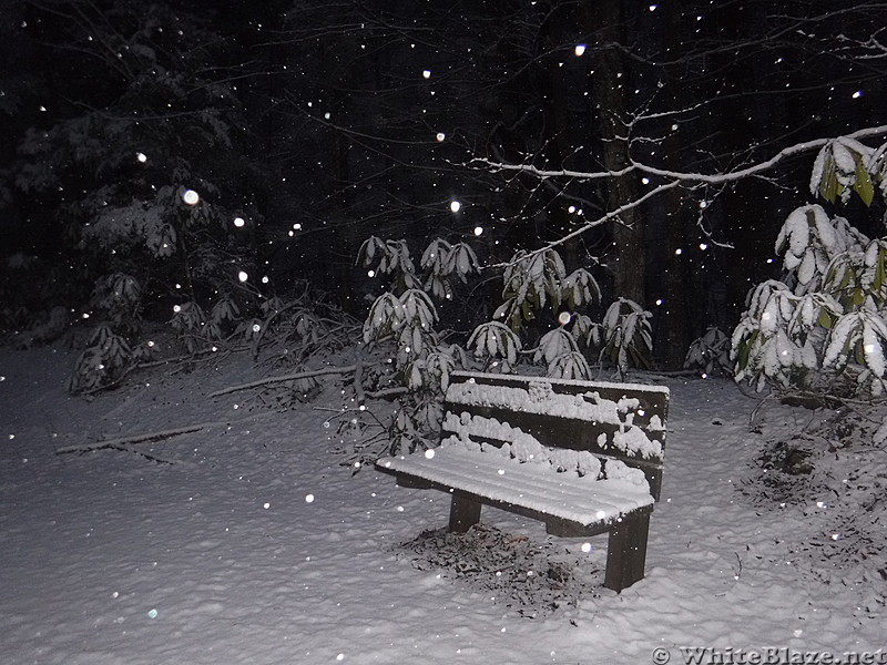 0780 2017.01.29 Bench On AT And Virginia Creeper Trail