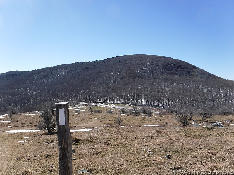 0790 2017.02.17 Looking South On AT To VA 600 Whitetop Road