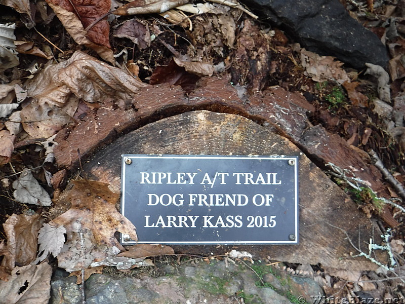 0814 2017.02.27 Ripley A/T Trail Dog Friend Of Larry Kass Sign At Comers Creek Falls