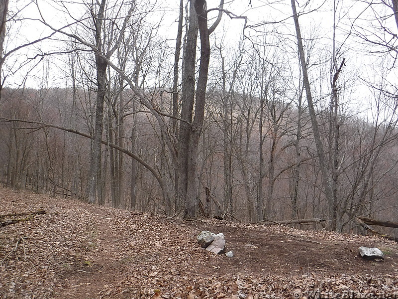 0825 2017.04.01 Campsite South Of USFS 86