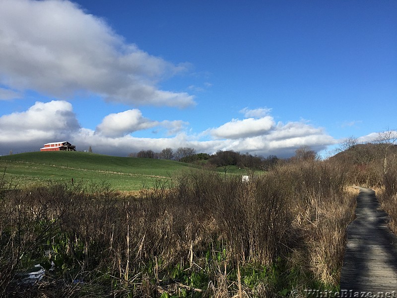 0831 2017.04.01 View From Boardwalk North Side Of Railroad Tracks By Middle Fork