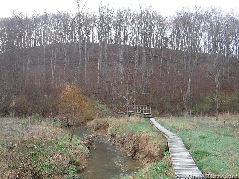 0835 2017.04.02 Board Walk North Of VA 683