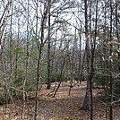 0841 2017.04.02 Campsite South Of Reed Creek by Attila in Views in Virginia & West Virginia