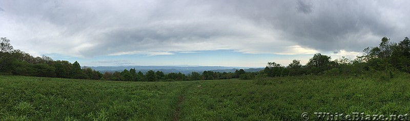 0853 2017.05.20 View From Chestnut Ridge South Of Chestnut Knob Shelter