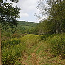 0873 2017.09.05 AT SOBO South Of Kimberling Creek VA 606