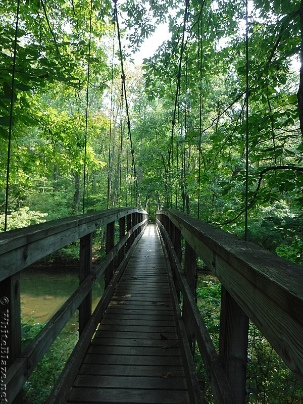 0874 2017.09.05 Bridge Over Kimberling Creek