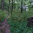 0884 2017.09.06 Sugar Run Gap Sign by Attila in Trail & Blazes in Virginia & West Virginia