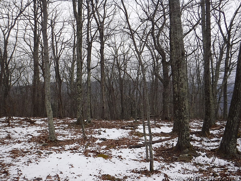 0893 2017.12.30 Campsite North Of Doc's Knob Shelter